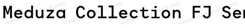 Meduza Collection FJ Semi Bold Text字体转换